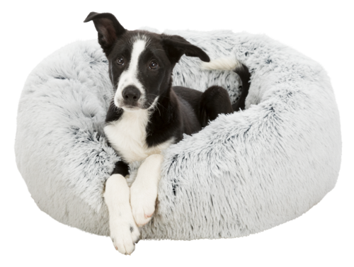 Bett Harvey 50 cm - weiß / schwarz