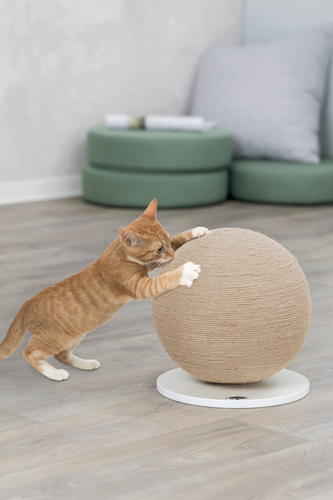 Kratzball auf Platte - 29 × 31 cm