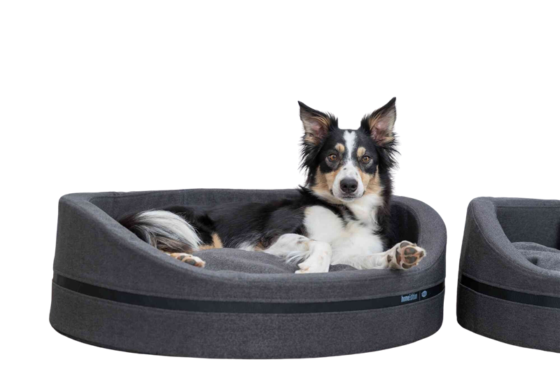 Bett CityStyle oval dunkelgrau - 80 × 65 cm