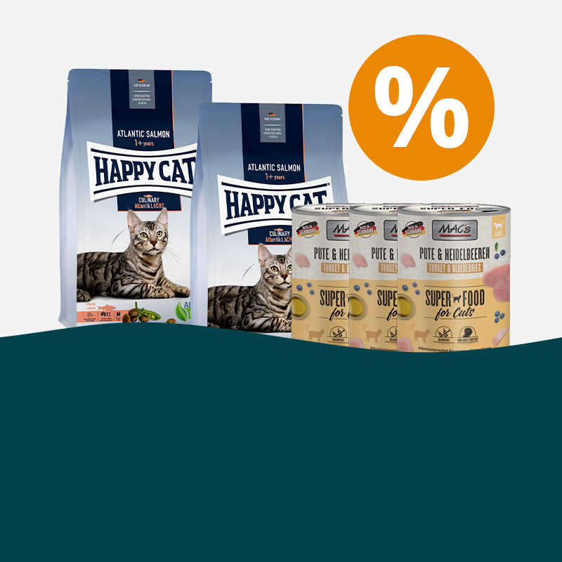 Katzenfutter im günstigen Sparpaket