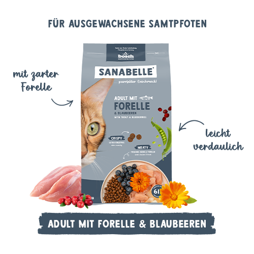 Sanabelle Adult mit Forelle