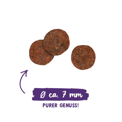 Sanabelle Adult mit Strauß