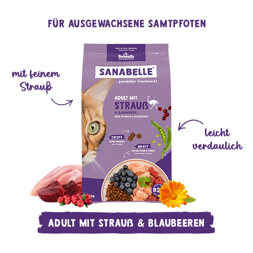 Sanabelle Adult mit Strauß