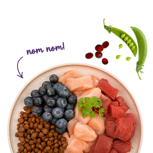 Sanabelle Adult mit Strauß