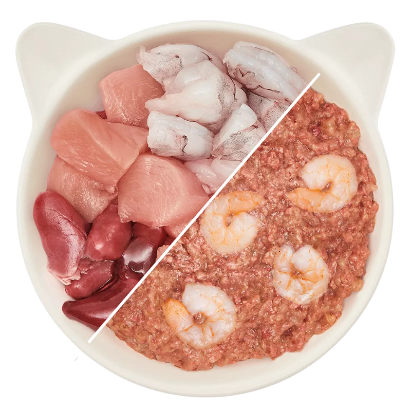 Wow Cat Dose Junior Huhn & Garnele 200g