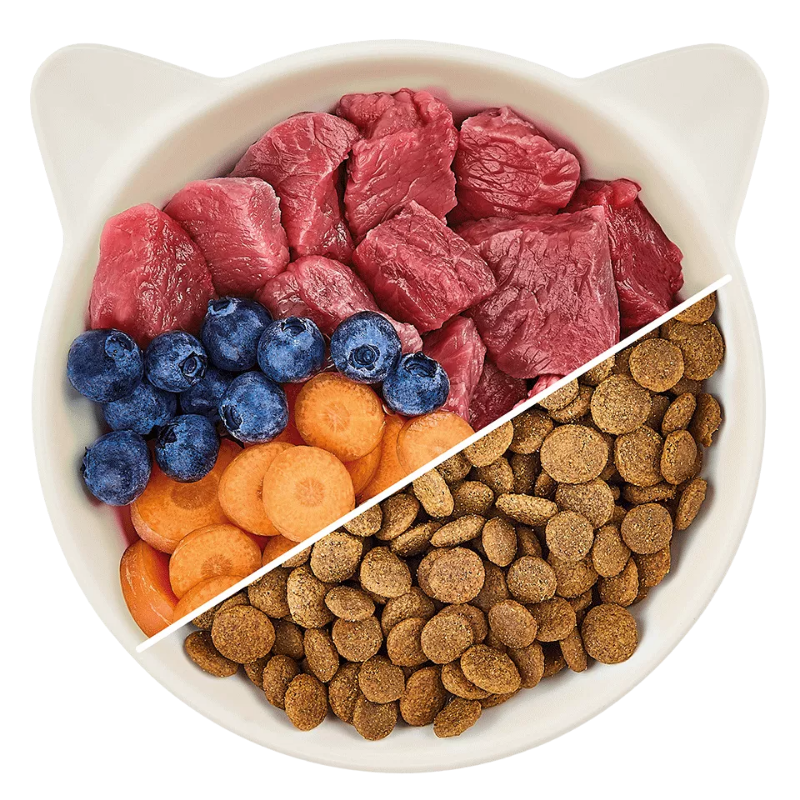 Wow Cat Trocken Senior Lamm