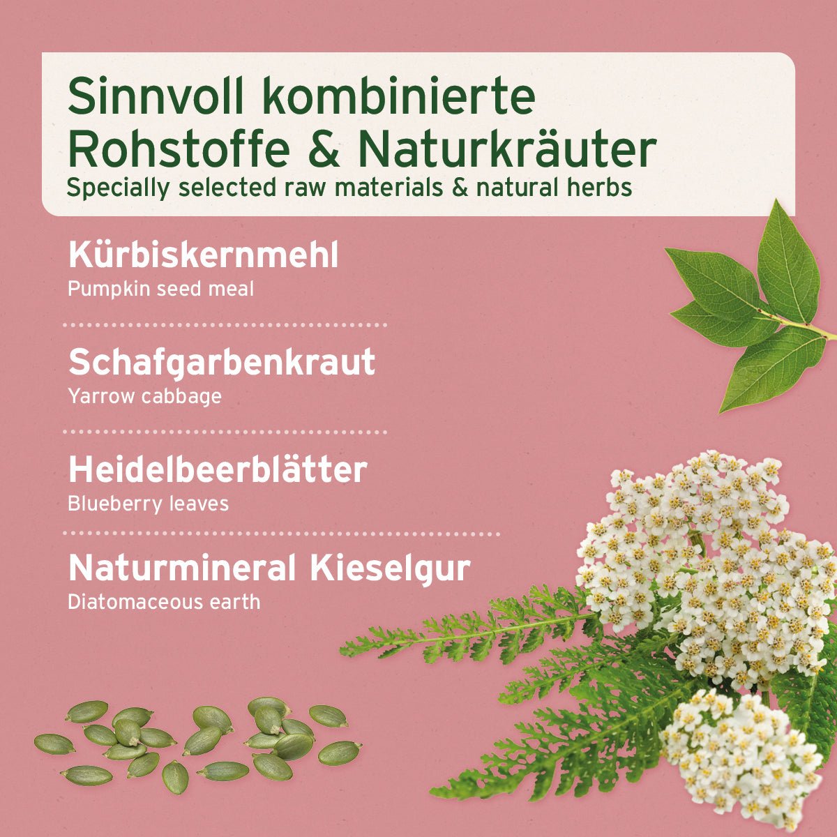 AniForte Blasen-Formel