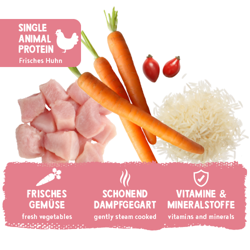 bosch Freshe Schnauze Nassfutter - Huhn mit Reis & Karotten 250g