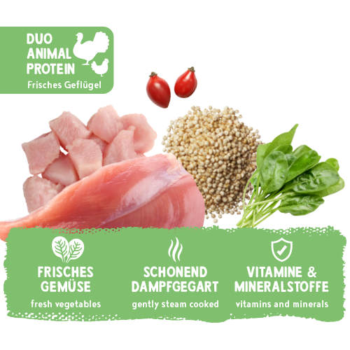bosch Freshe Schnauze Nassfutter - Pute mit Quinoa & Spinat 250g