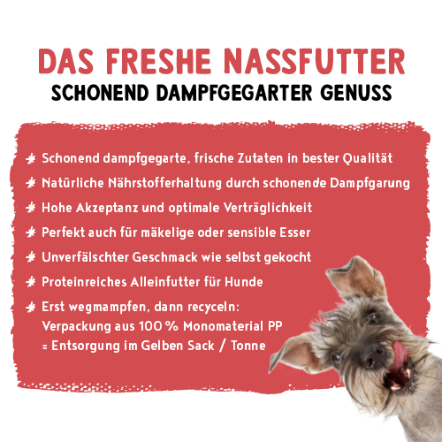 bosch Freshe Schnauze Nassfutter - Rind mit Hirse & Rote Bete 250g