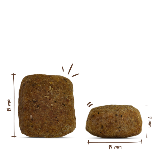 bosch HPC Maxi Senior mit frischem Geflügel & Reis