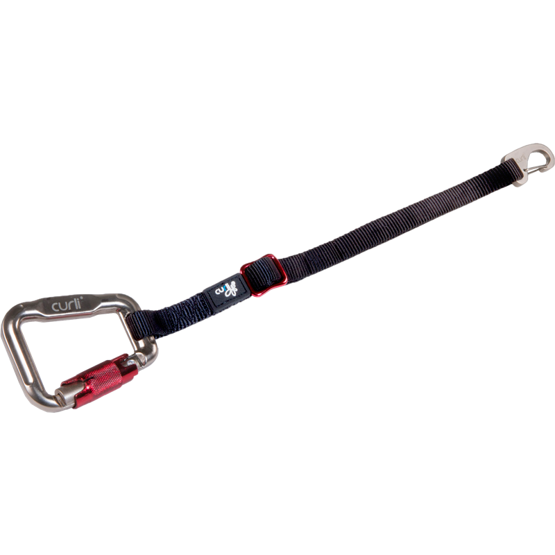 curli Auto Sicherheitsgurt