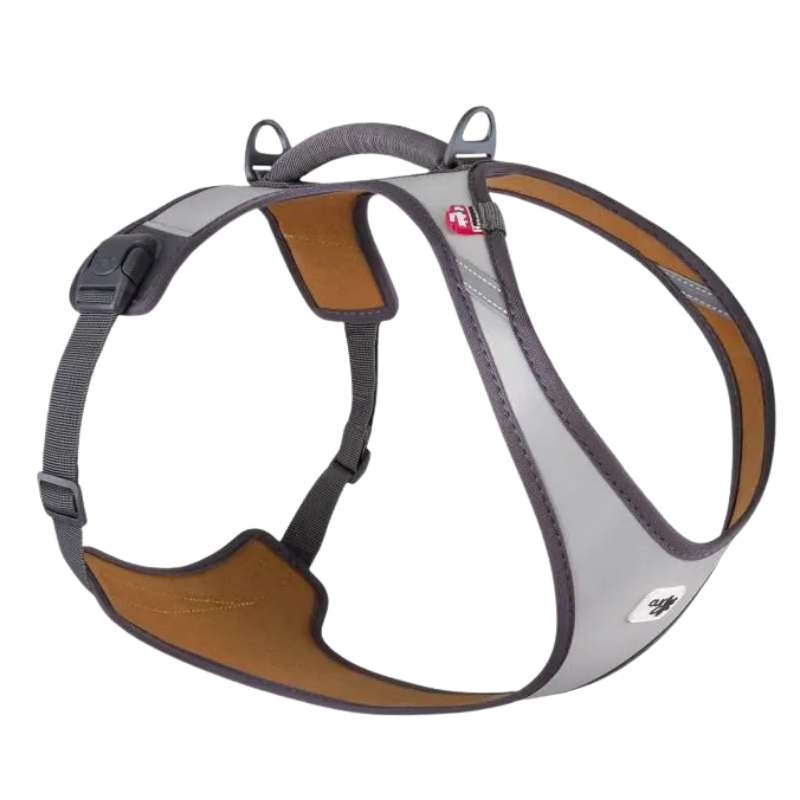 Curli Belka Geschirr Glow Gray