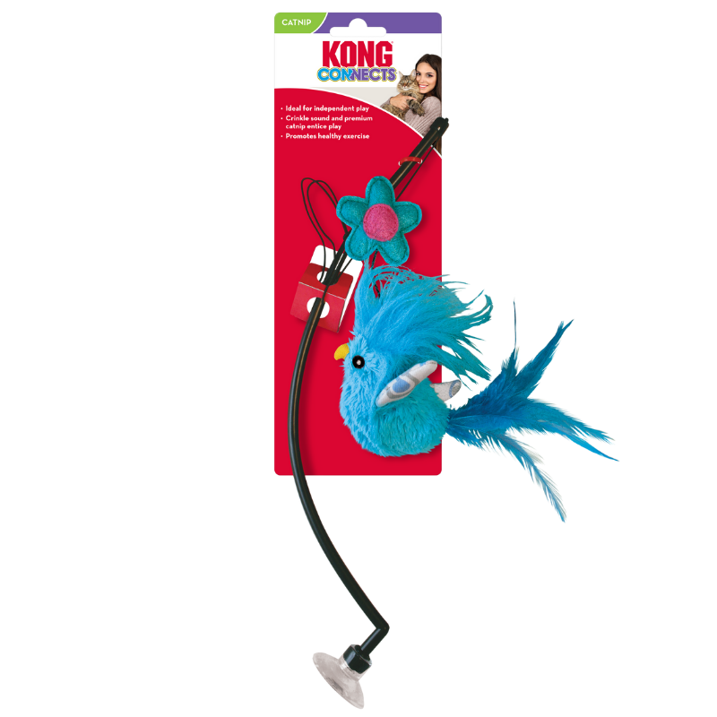 KONG Cat Connects Window Teaser