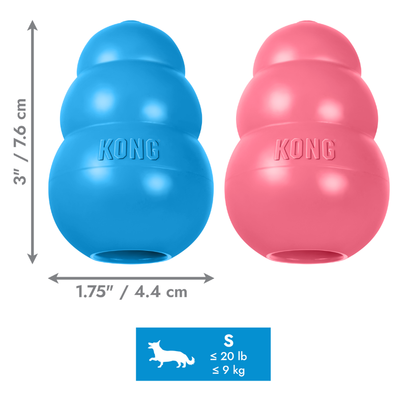 KONG Puppy