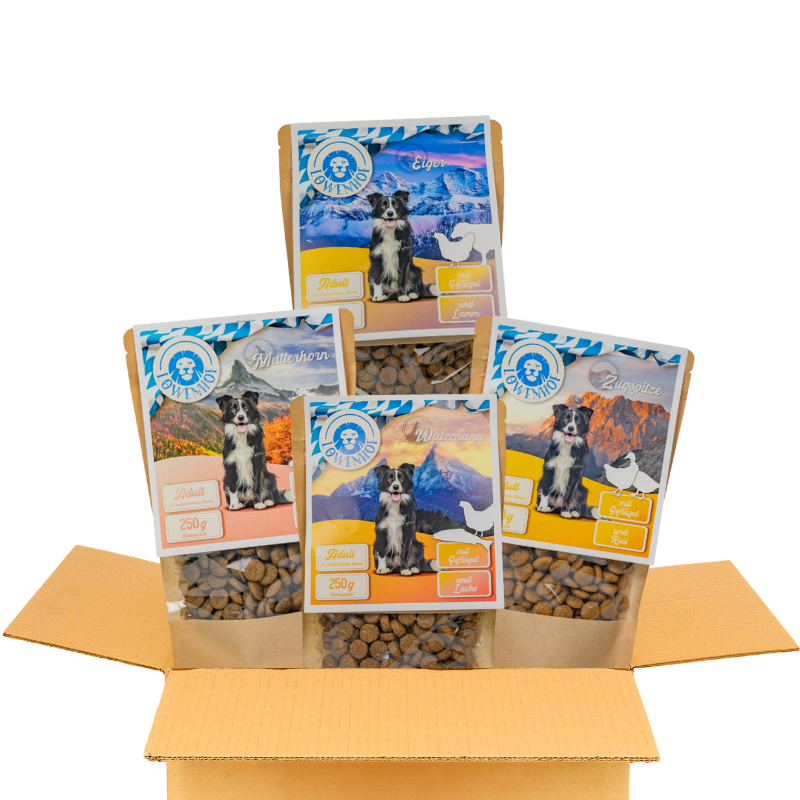 Löwenhof Testpaket Adult 4 x 250 g