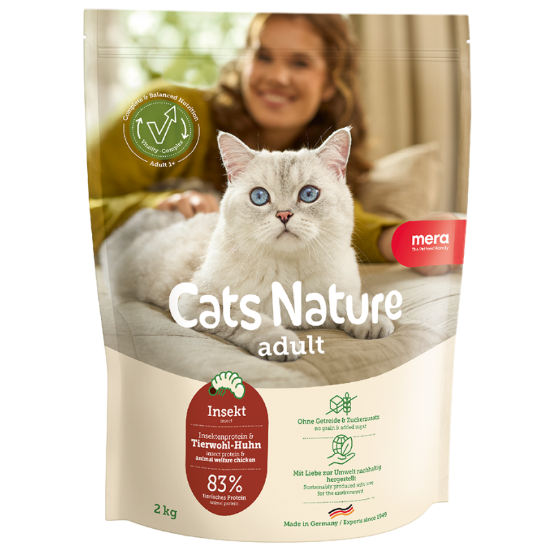 Mera Cat Nature Adult Insect