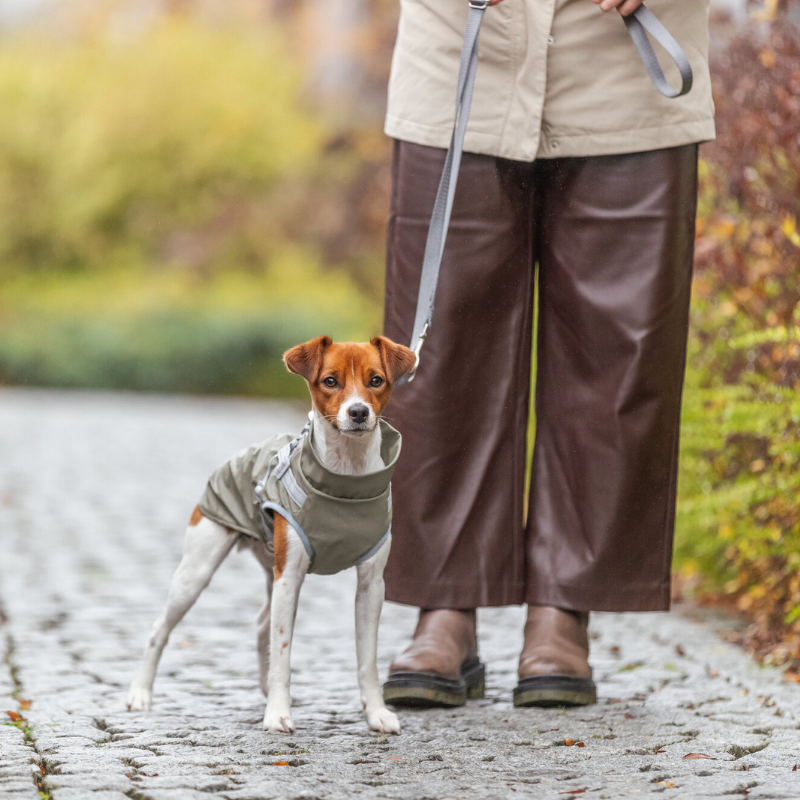 TRIXIE Geschirr-Mantel Pontis Rain