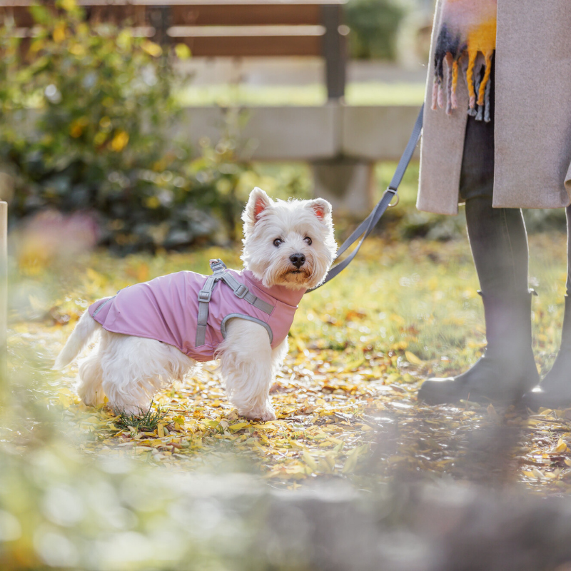 TRIXIE Geschirr-Mantel Pontis Rain