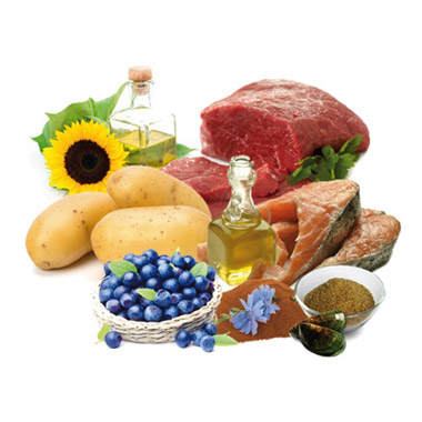 Wildsterne Breed Selection Adult Boxer