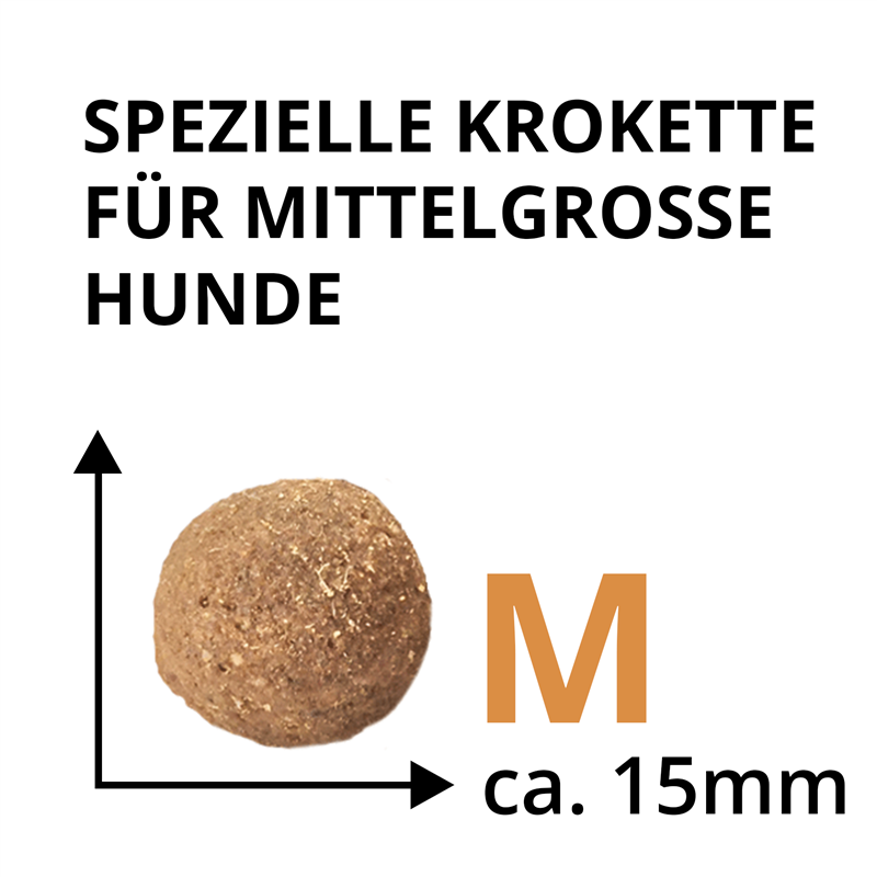 Wildsterne Breed Selection Adult M