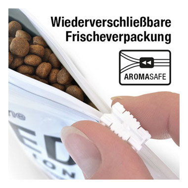 Wildsterne Breed Selection Adult Rhodesian Ridgeback