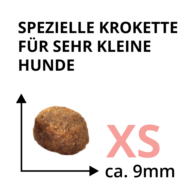 Wildsterne Breed Selection Adult XS