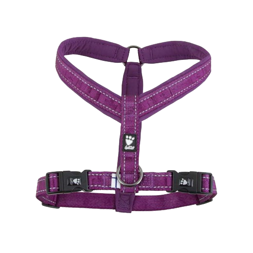 [Räumungsverkauf] Casual Y-Hundegeschirr violett - 2XL (88 – 100 cm)