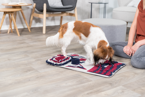 Dog Activity Schnüffelteppich - 70 × 47 cm