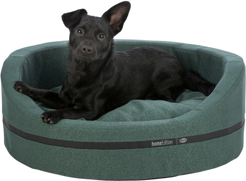 Bett CityStyle oval dunkelgrün - 80 × 65 cm
