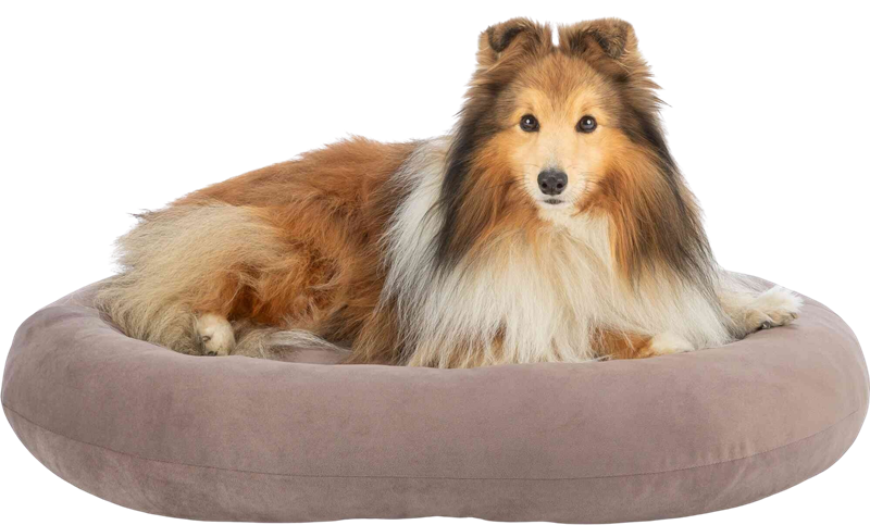 Bett Talia, oval braun - 80 × 65 cm