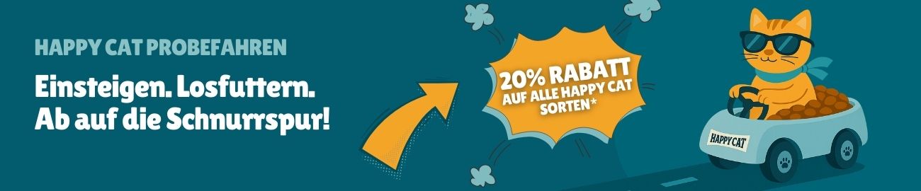 Happy Cat 360 Grad Kampagne