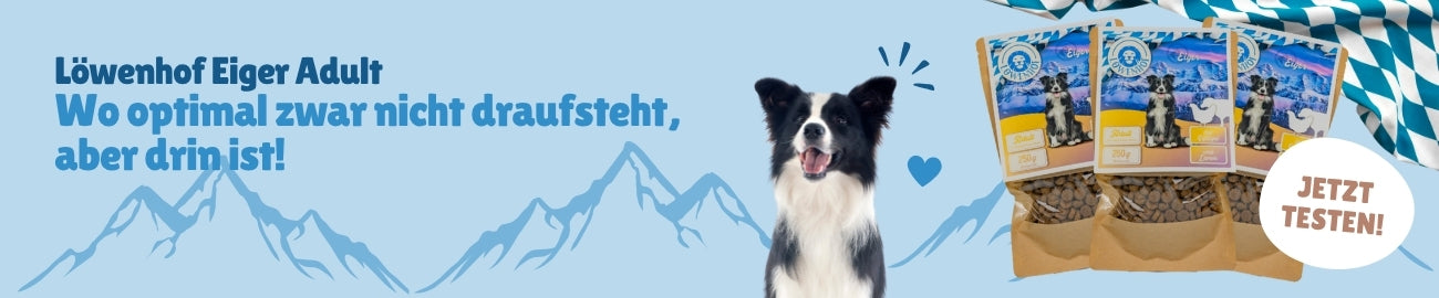 Löwenhof Eiger Adult