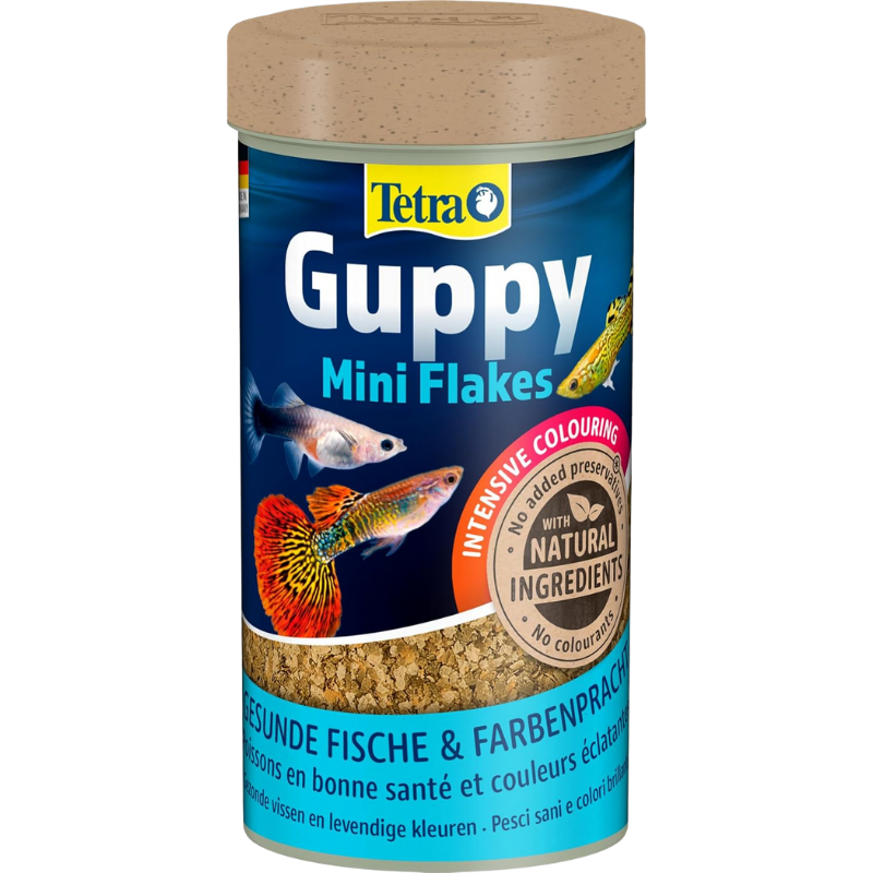Tetra Guppy