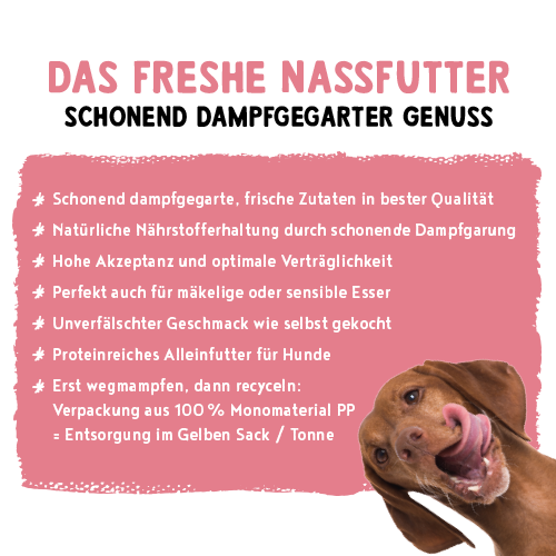 bosch Freshe Schnauze Nassfutter - Huhn mit Reis & Karotten 250g