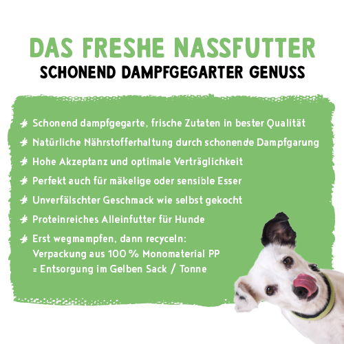 bosch Freshe Schnauze Nassfutter - Pute mit Quinoa & Spinat 250g