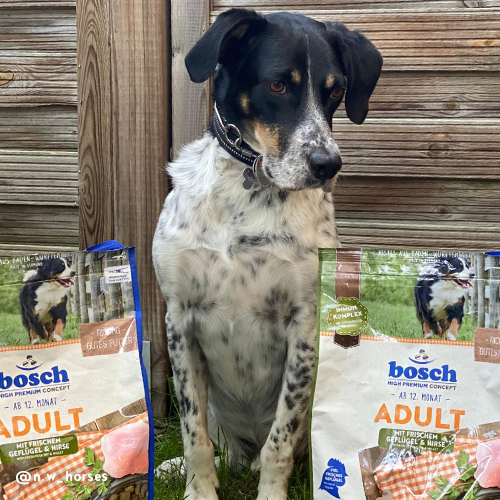 bosch HPC Adult mit frischem Geflügel & Hirse