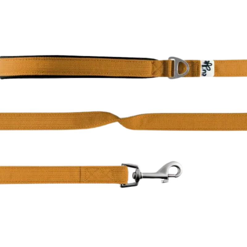 curli Basic Leine Nylon