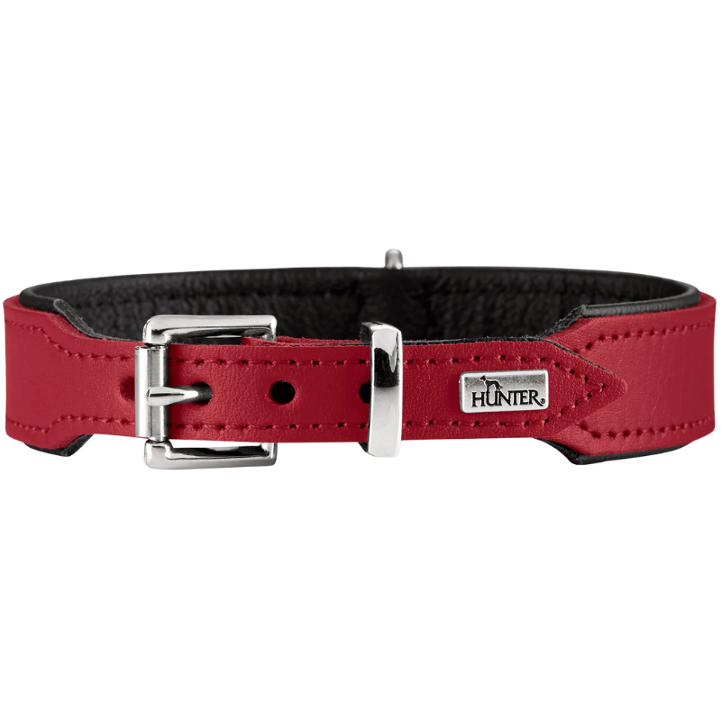 Hunter Halsband Basic