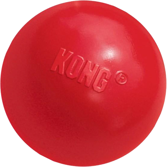 KONG Ball