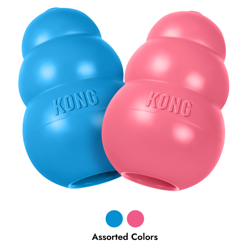 KONG Puppy