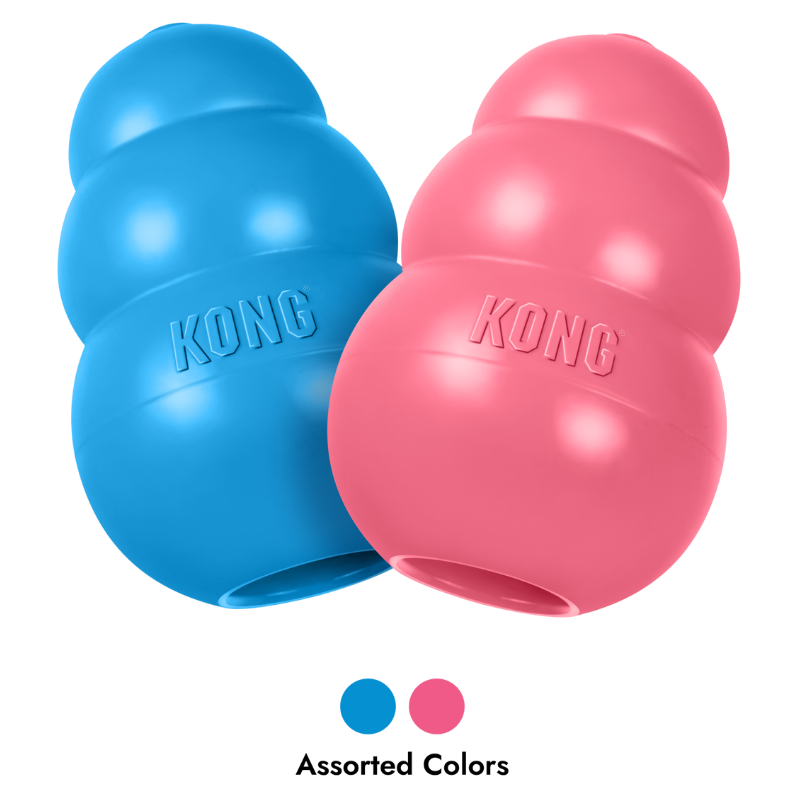 KONG Puppy