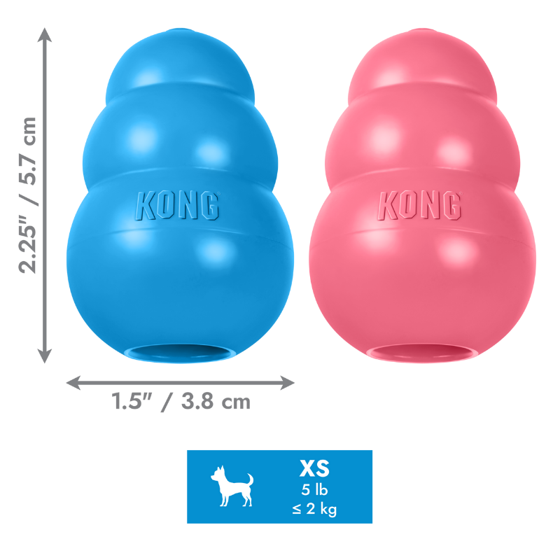KONG Puppy