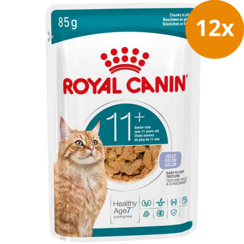 Royal Canin Feline Ageing 11+ in Gelee 12x85 g