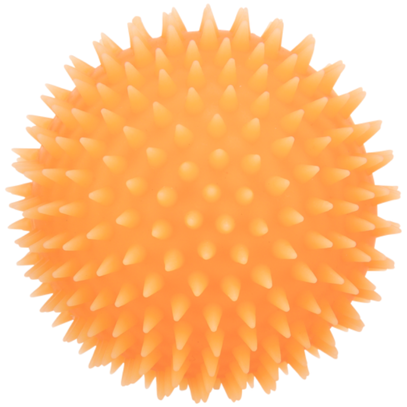 TRIXIE Igelball für Hunde