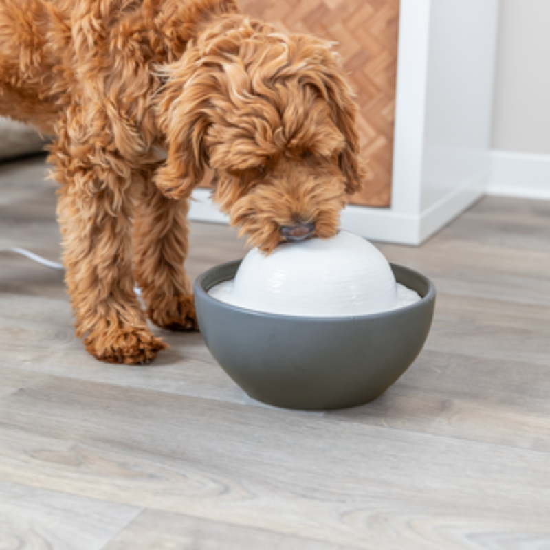 TRIXIE Trinkbrunnen Vital Dome